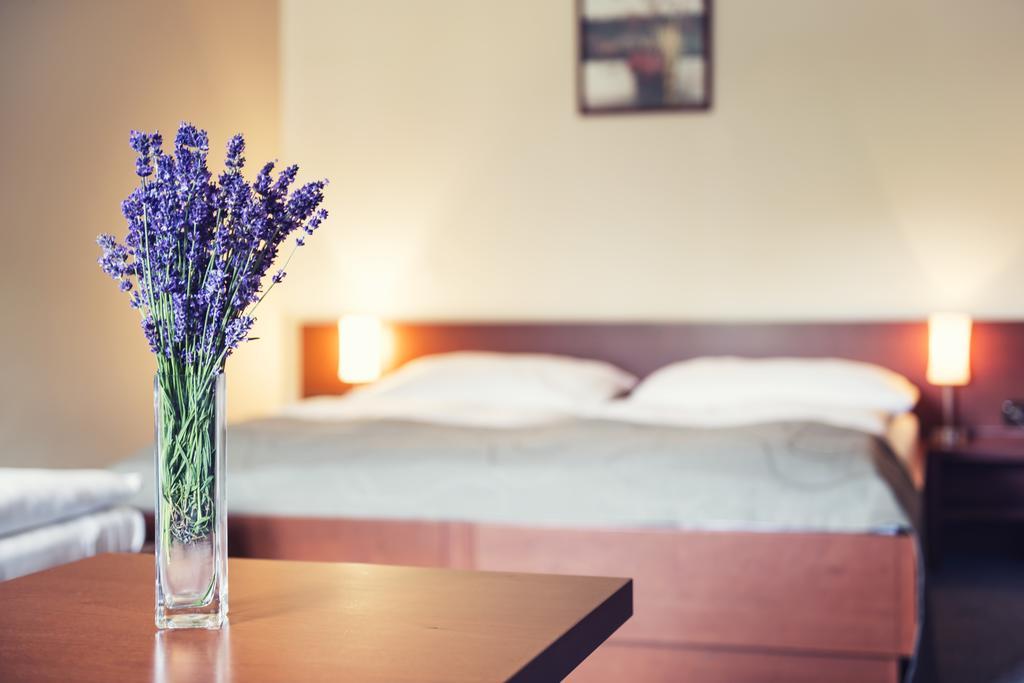 Hotel Skanzen Велехрад Стая снимка
